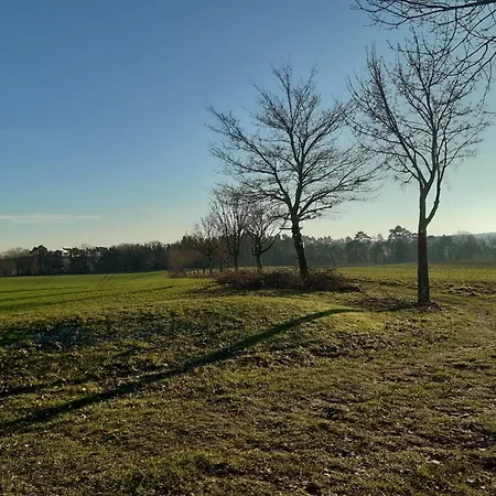 Bondzio Langen Brütz