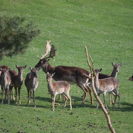 Bondzio بيت ضيافة
